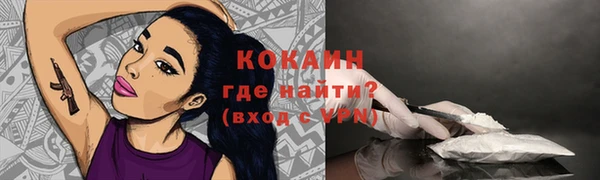 бошки Бородино