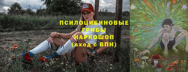 ГАЛЛЮЦИНОГЕННЫЕ ГРИБЫ Балашиха