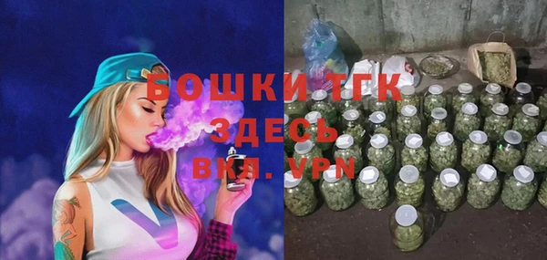 дурь Бронницы
