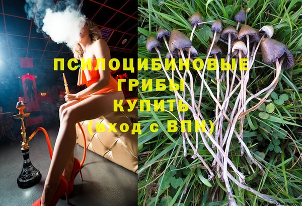 COCAINE Богородицк