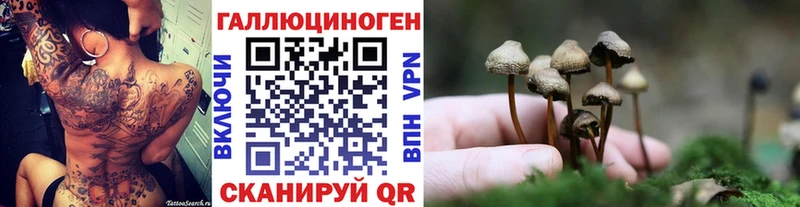 hydra зеркало  Гудермес  Псилоцибиновые грибы Cubensis  дарнет шоп 