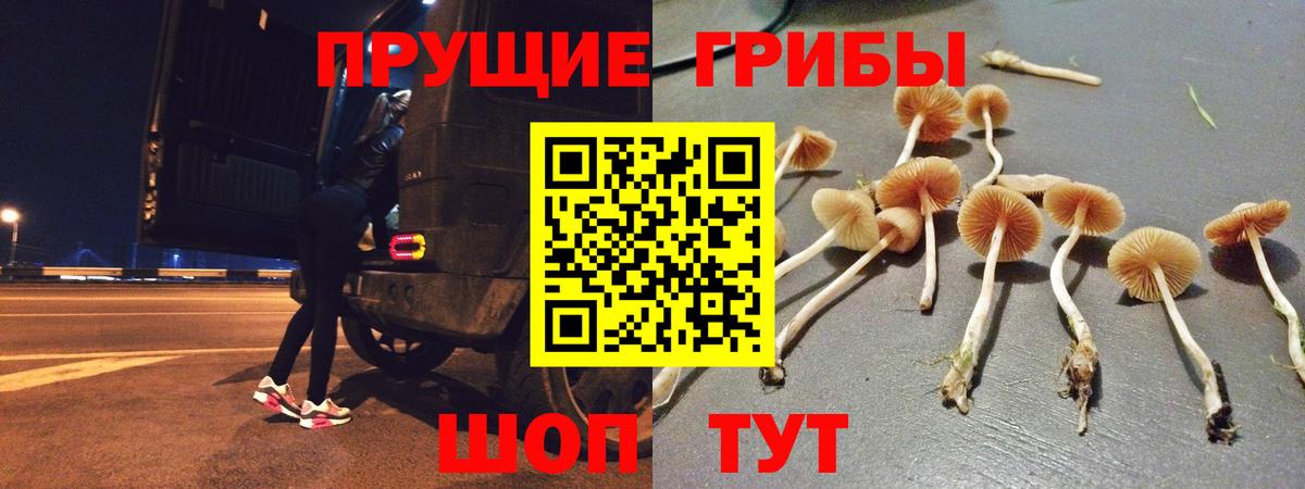 Галлюциногенные грибы Psilocybine cubensis  Вход с VPN  Гудермес  Галлюциногенные грибы прущие грибы 