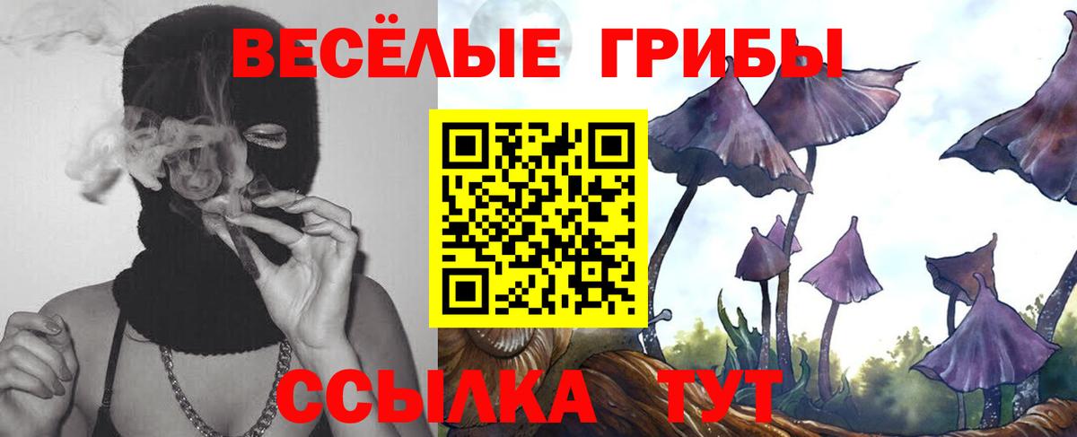 Псилоцибиновые грибы ЛСД Гудермес