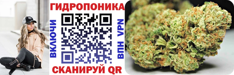 Конопля марихуана Гудермес